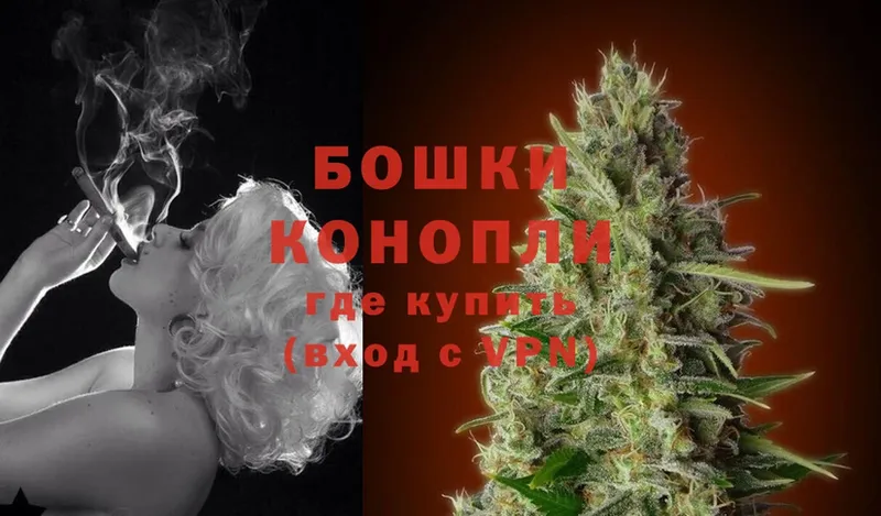 мориарти формула  Аркадак  Каннабис THC 21% 